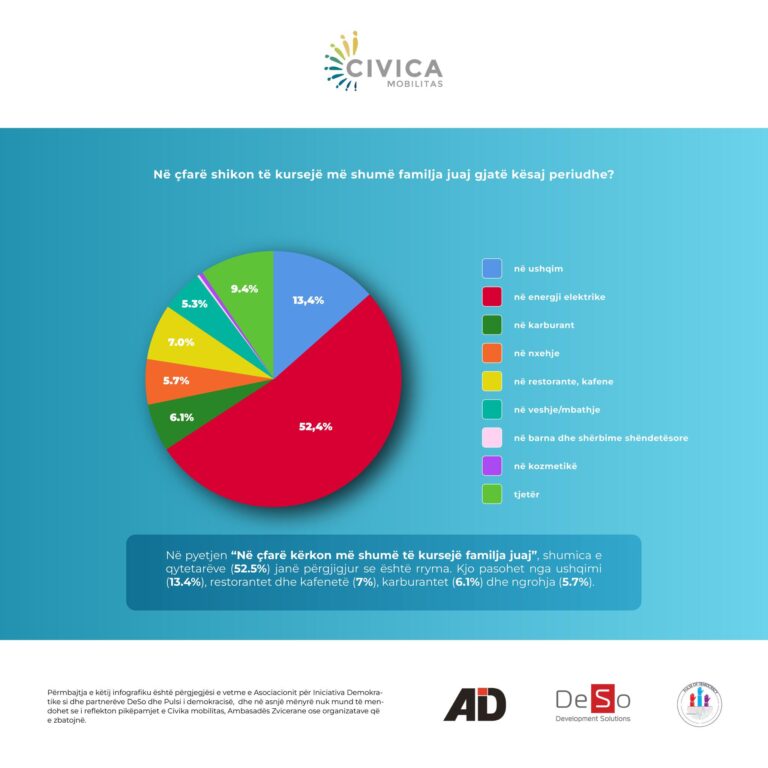 Çka kursejnë më shumë amvisëritë?/ Што штедаат најмногу домаќинствата?